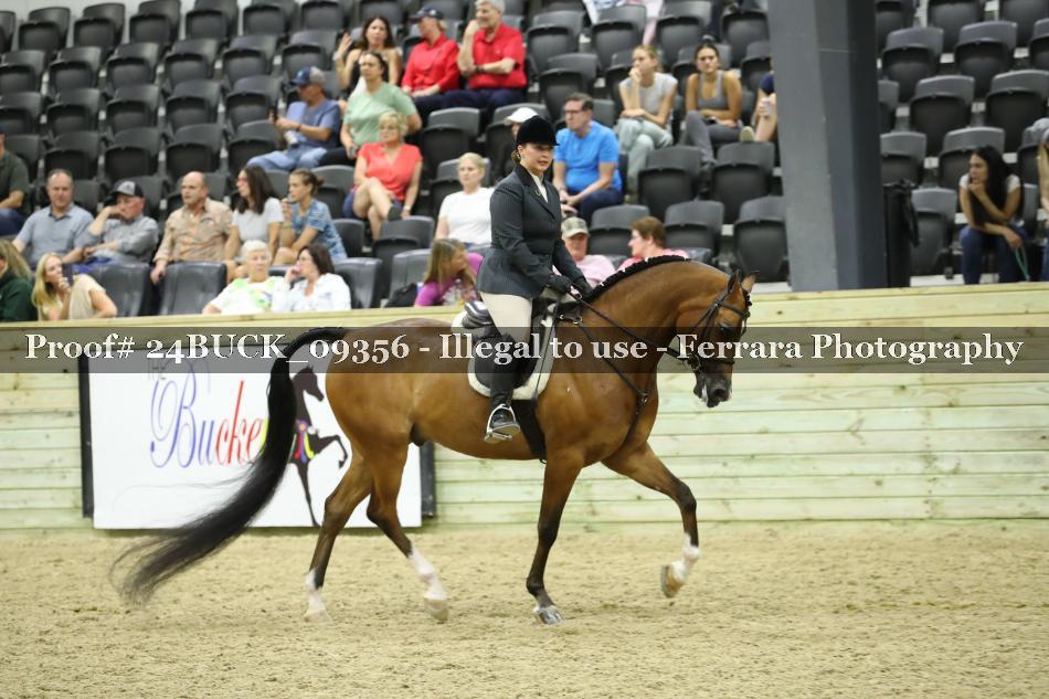 Proof 24BUCK_09356