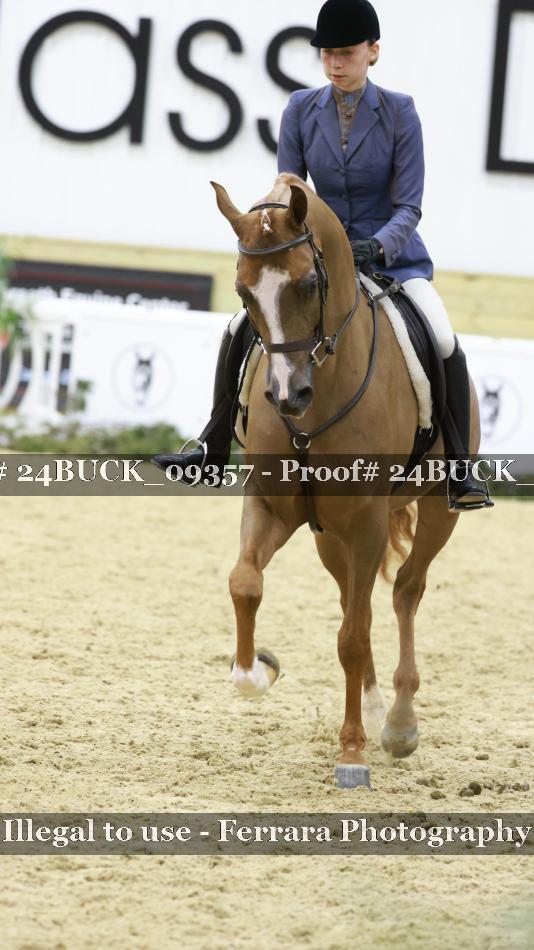 Proof 24BUCK_09357