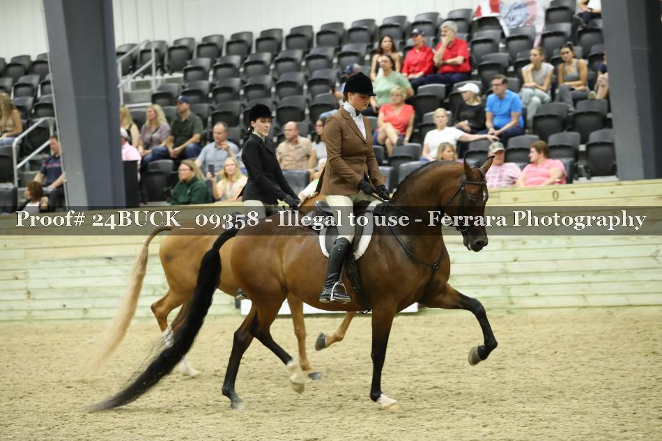 Proof 24BUCK_09358