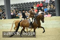24BUCK_09358 proof