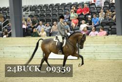 24BUCK_09359 proof