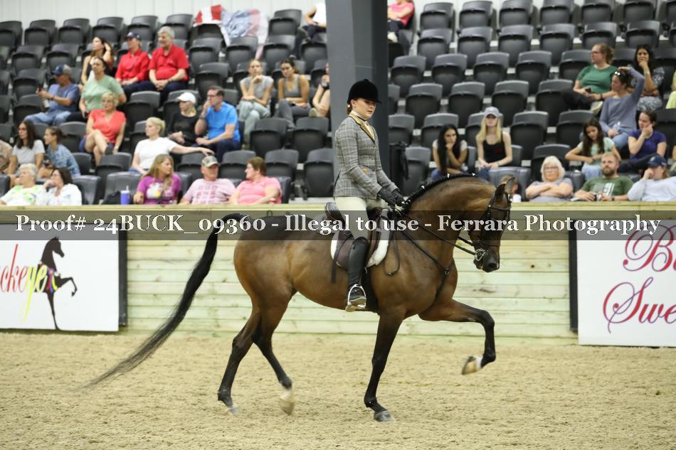 Proof 24BUCK_09360