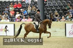 24BUCK_09361 proof