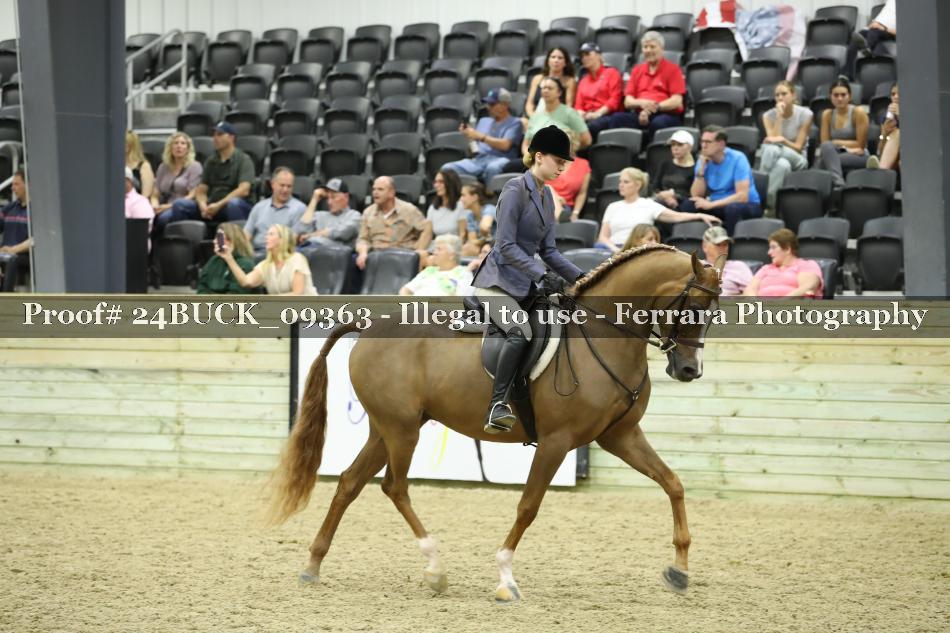 Proof 24BUCK_09363