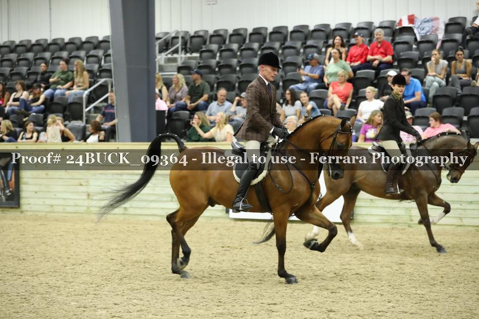 Proof 24BUCK_09364