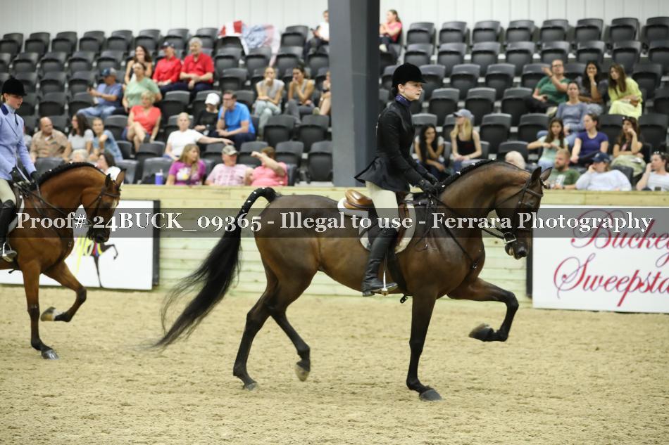 Proof 24BUCK_09365