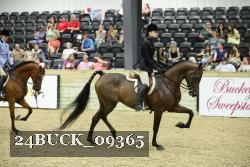 24BUCK_09365 proof