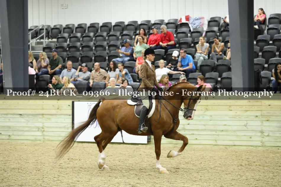 Proof 24BUCK_09366
