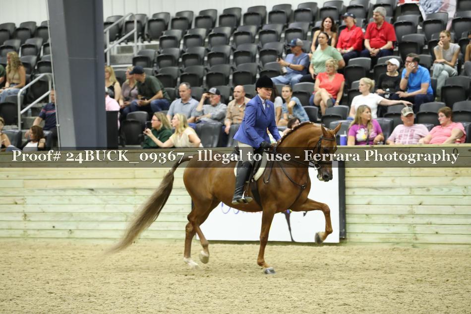 Proof 24BUCK_09367
