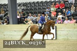 24BUCK_09367 proof