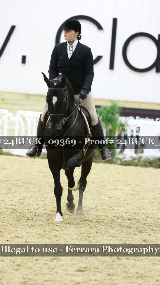 Proof 24BUCK_09369