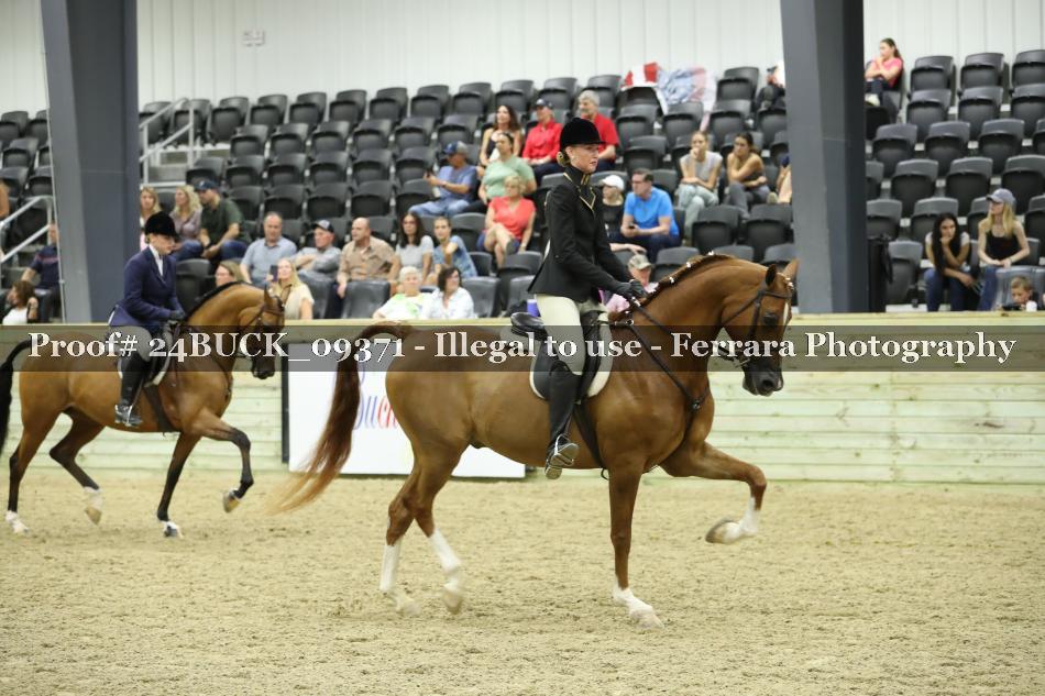 Proof 24BUCK_09371
