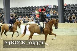 24BUCK_09371 proof