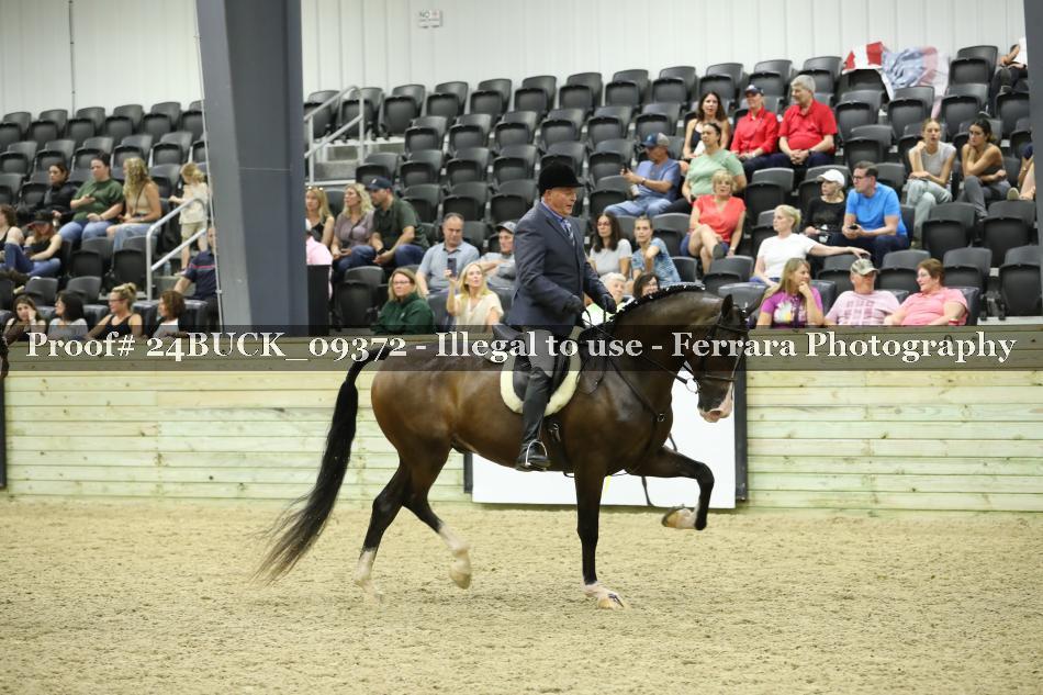 Proof 24BUCK_09372
