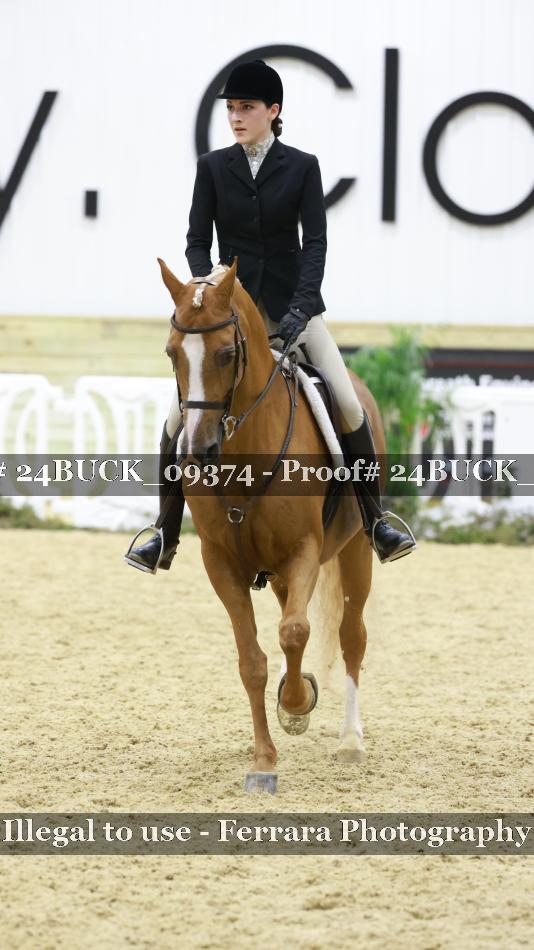 Proof 24BUCK_09374