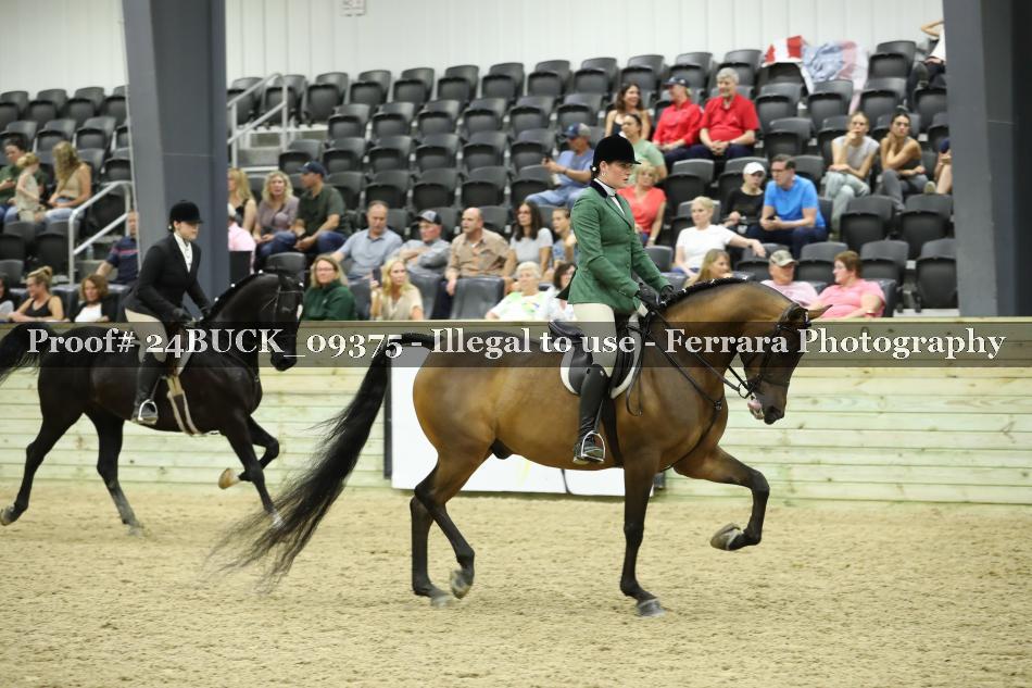 Proof 24BUCK_09375