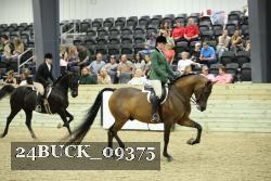 24BUCK_09375 proof