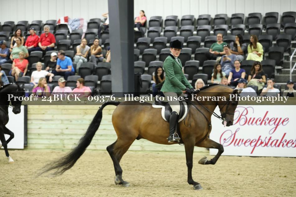 Proof 24BUCK_09376