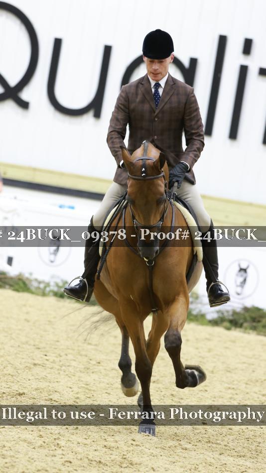Proof 24BUCK_09378