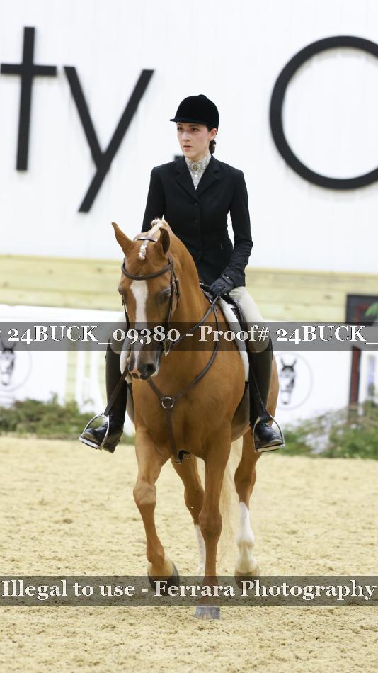Proof 24BUCK_09380