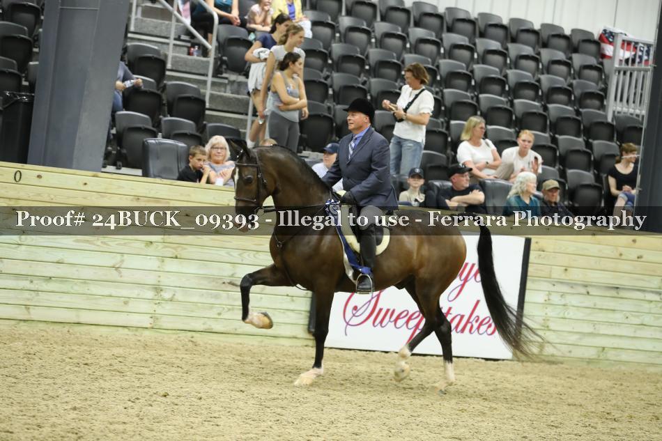 Proof 24BUCK_09393