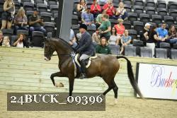 24BUCK_09396 proof