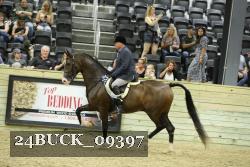 24BUCK_09397 proof