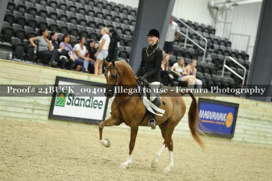 Proof 24BUCK_09401
