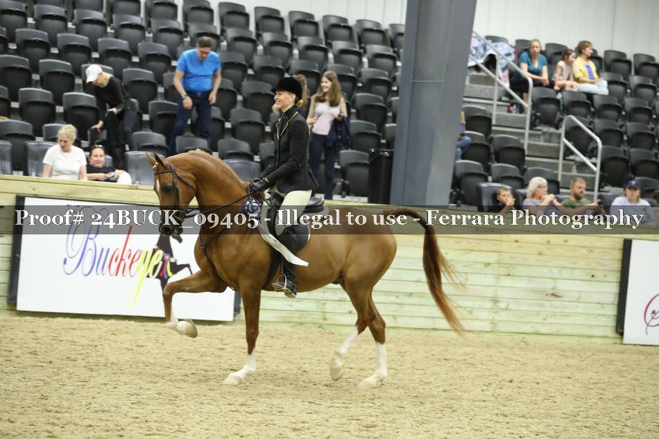 Proof 24BUCK_09405