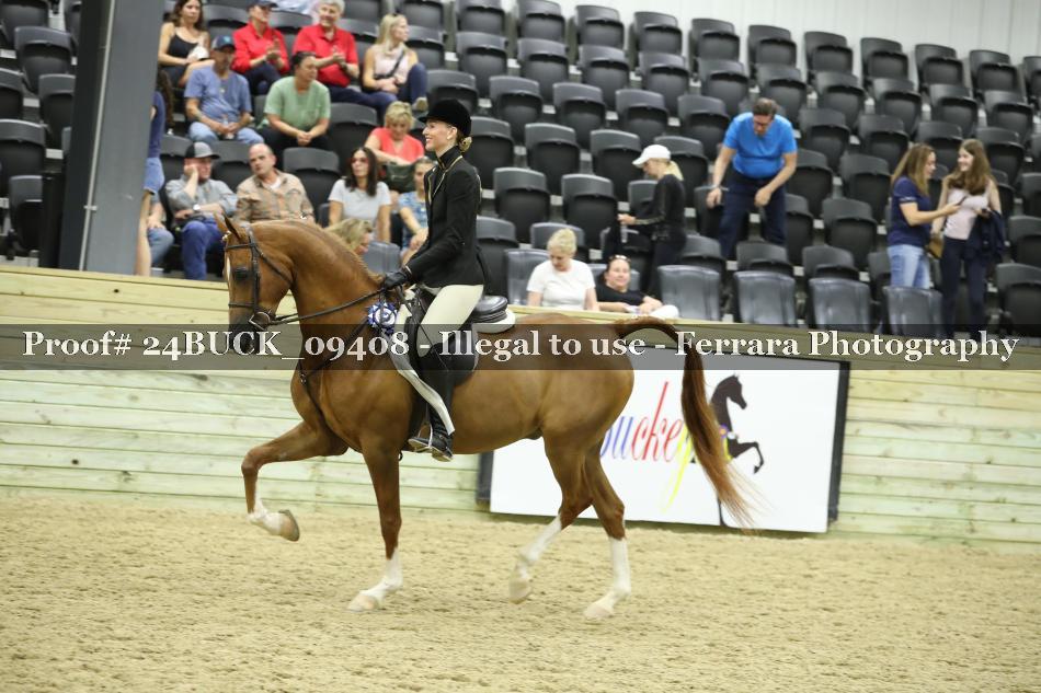 Proof 24BUCK_09408
