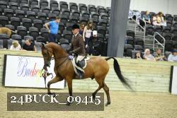 24BUCK_09415 proof