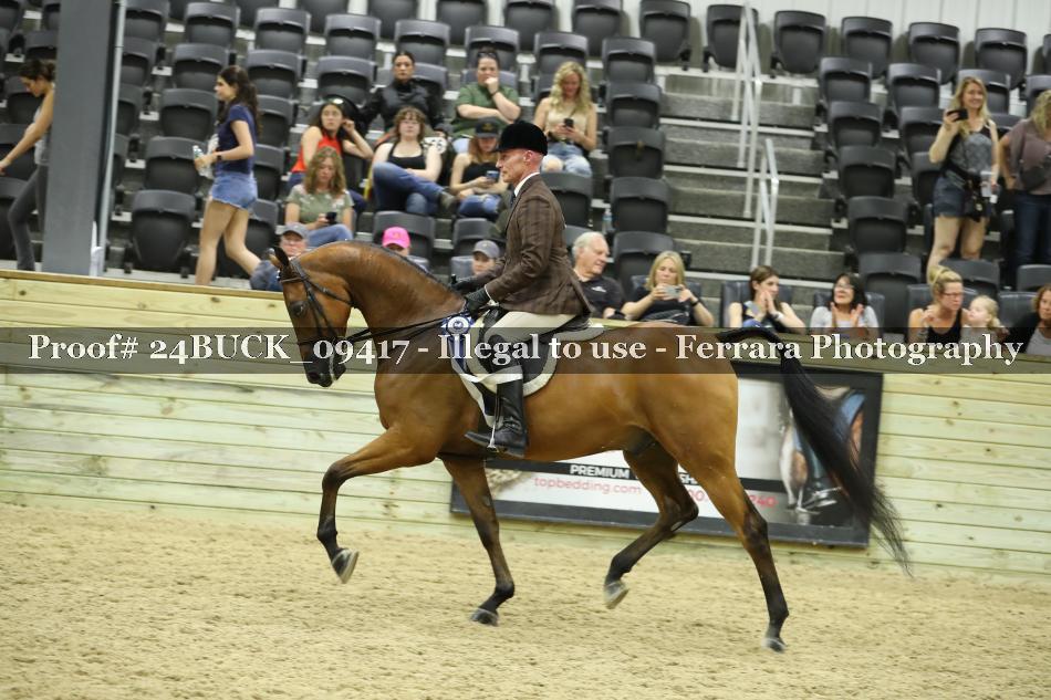 Proof 24BUCK_09417