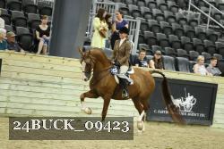 24BUCK_09423 proof