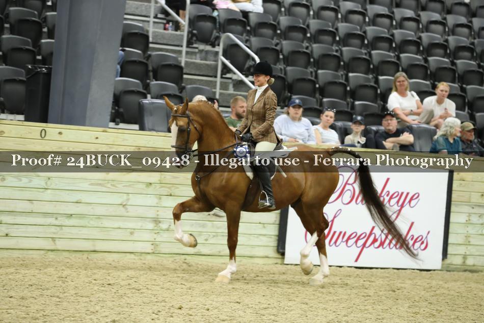 Proof 24BUCK_09428
