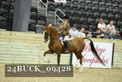 24BUCK_09428 proof