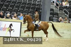 24BUCK_09429 proof