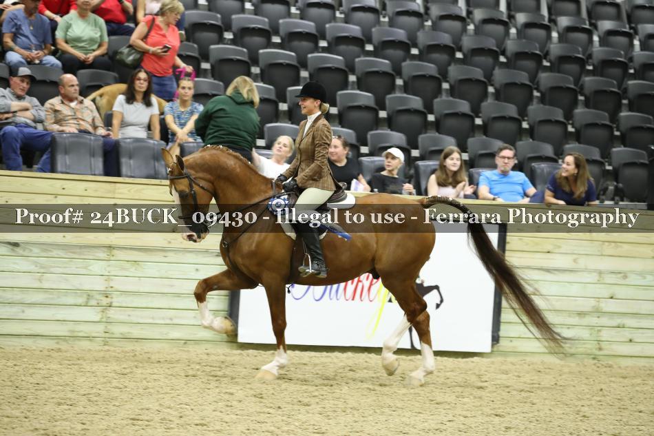 Proof 24BUCK_09430