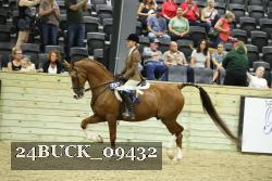 24BUCK_09432 proof