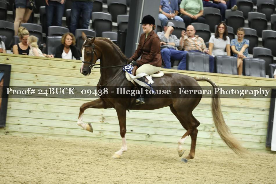 Proof 24BUCK_09438