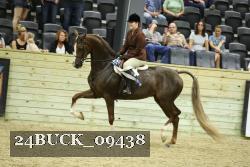 24BUCK_09438 proof