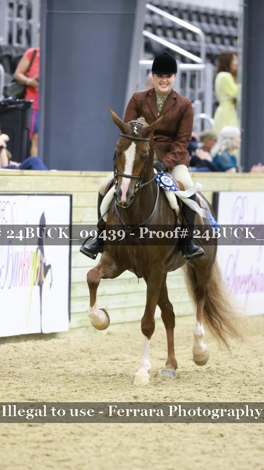 Proof 24BUCK_09439