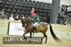 24BUCK_09443 proof