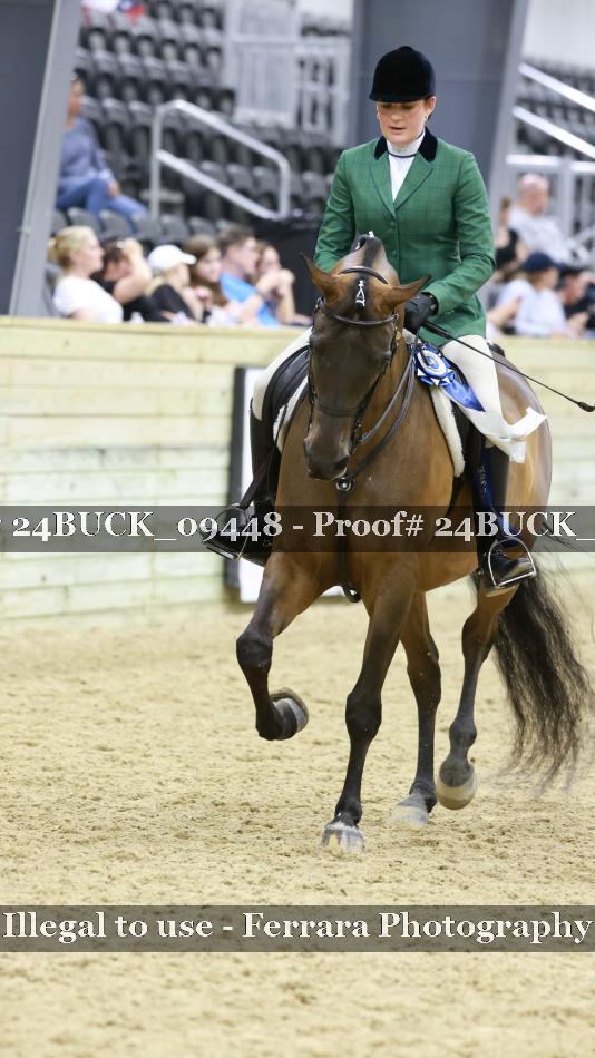 Proof 24BUCK_09448