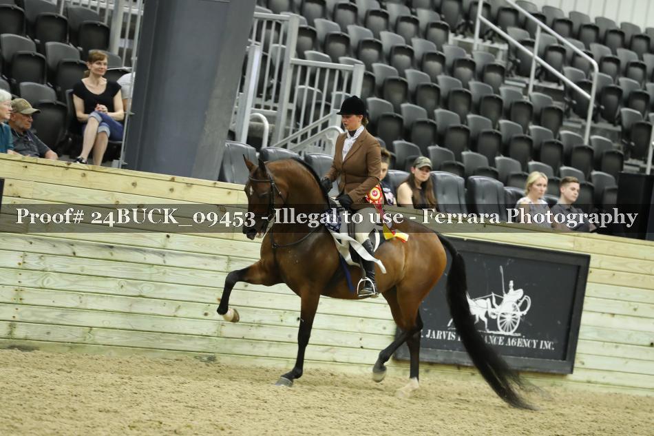 Proof 24BUCK_09453