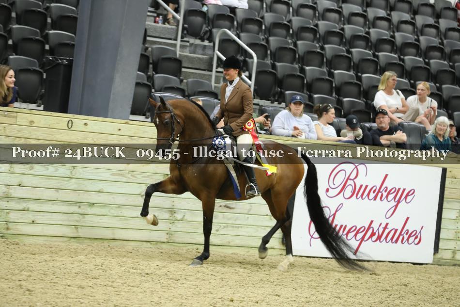 Proof 24BUCK_09455