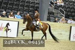 24BUCK_09456 proof