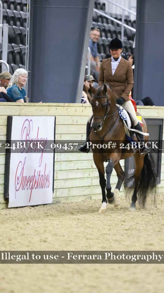 Proof 24BUCK_09457