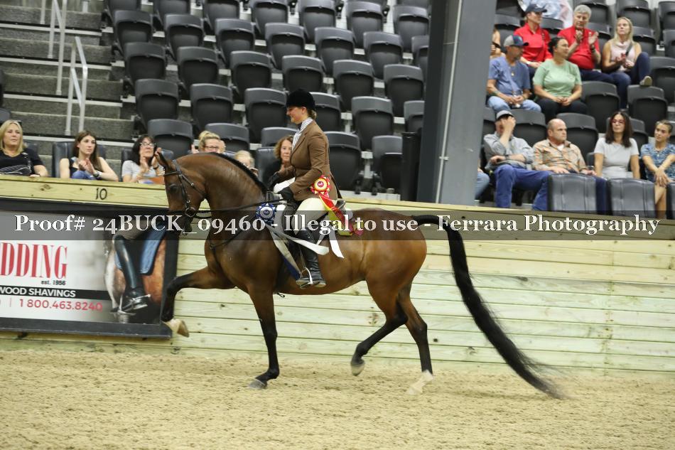 Proof 24BUCK_09460