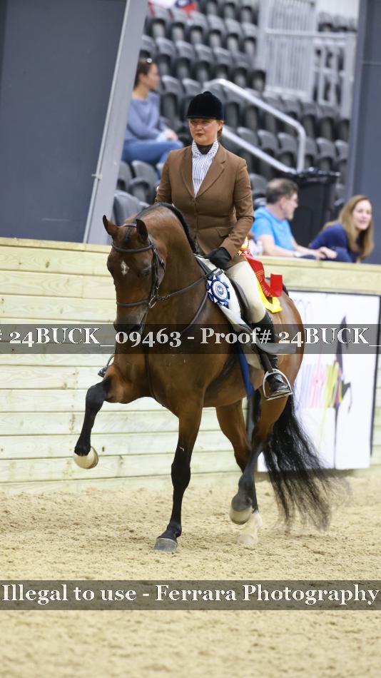 Proof 24BUCK_09463