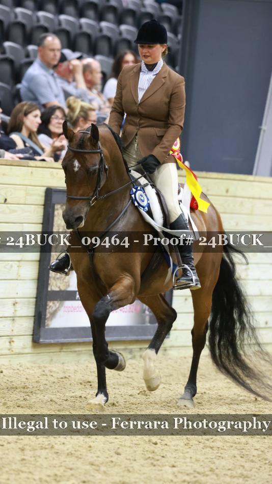 Proof 24BUCK_09464